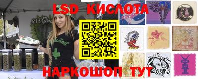 a pvp Кандалакша
